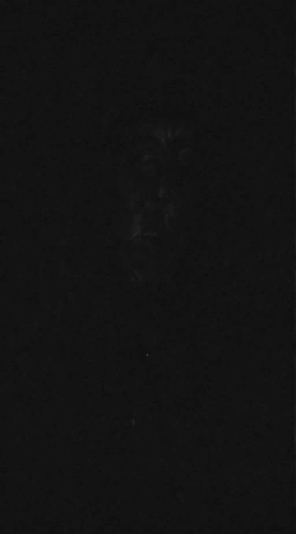 ai character: THE ROTUND background