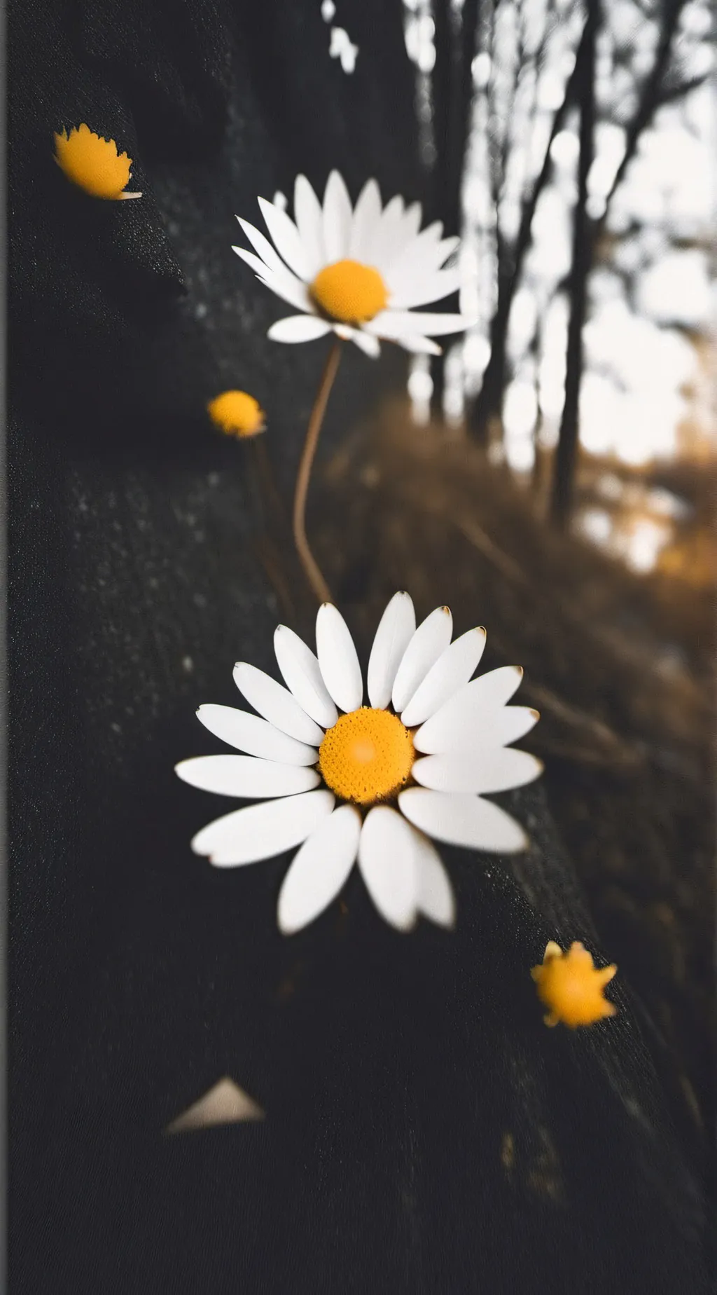 ai character: First of People background