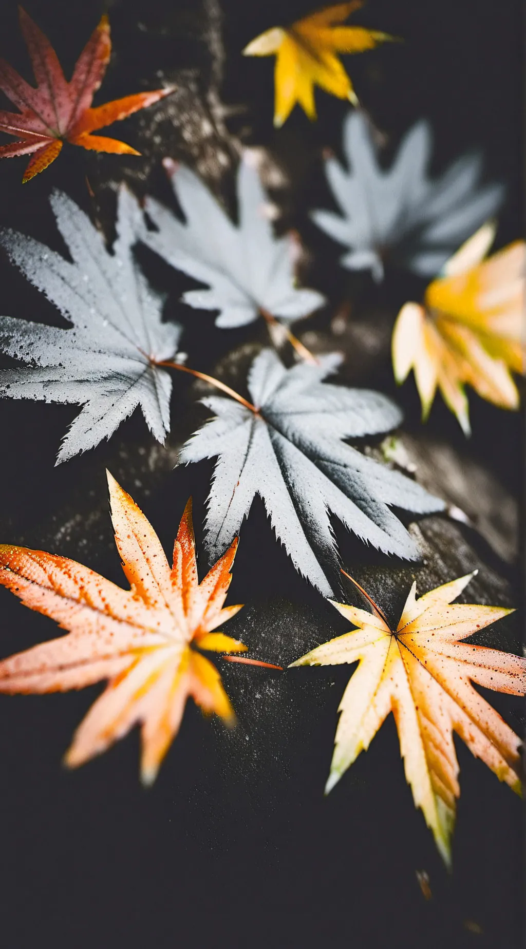 Talkie AI - Chat with Nick Nelson 