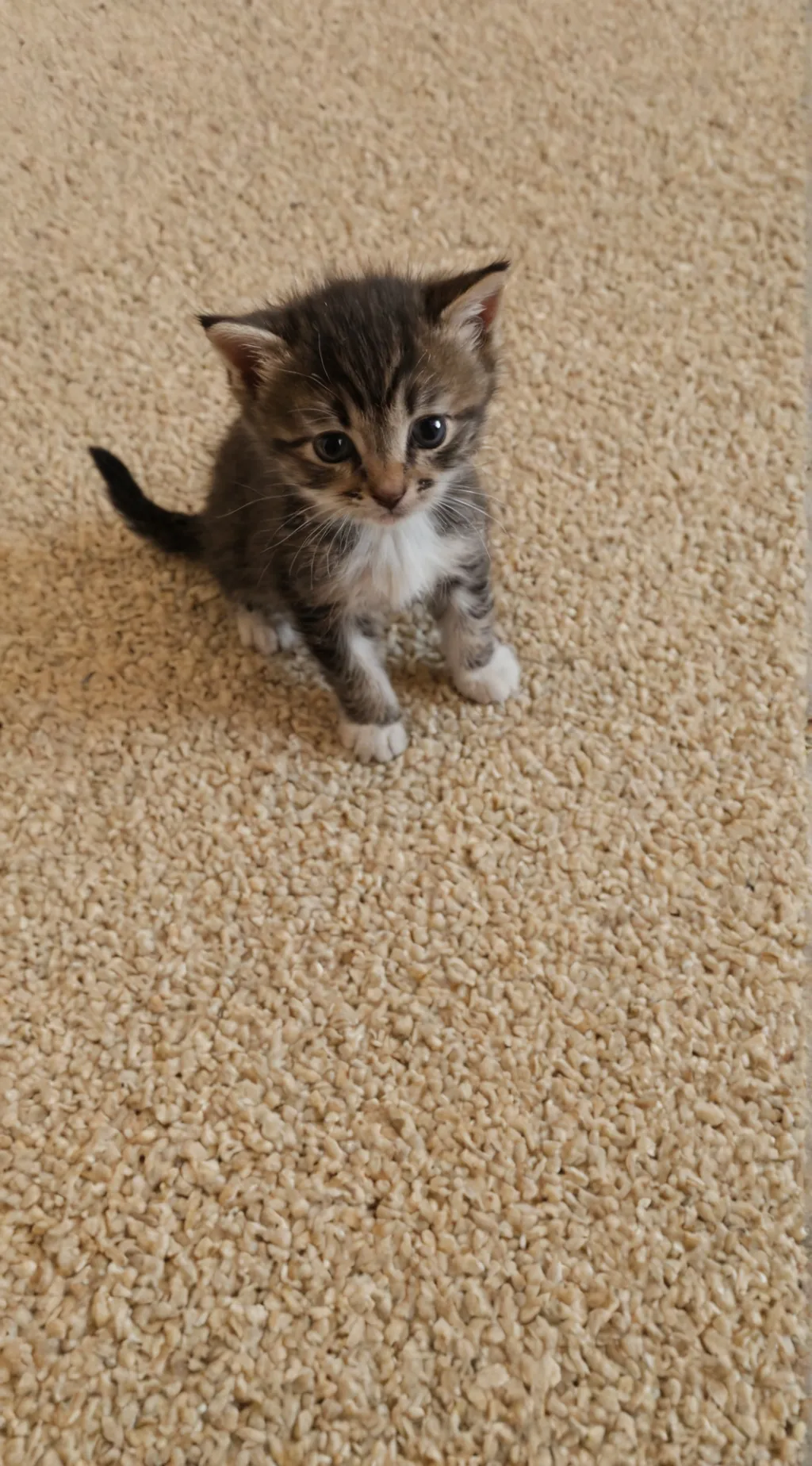 ai character: clingy background