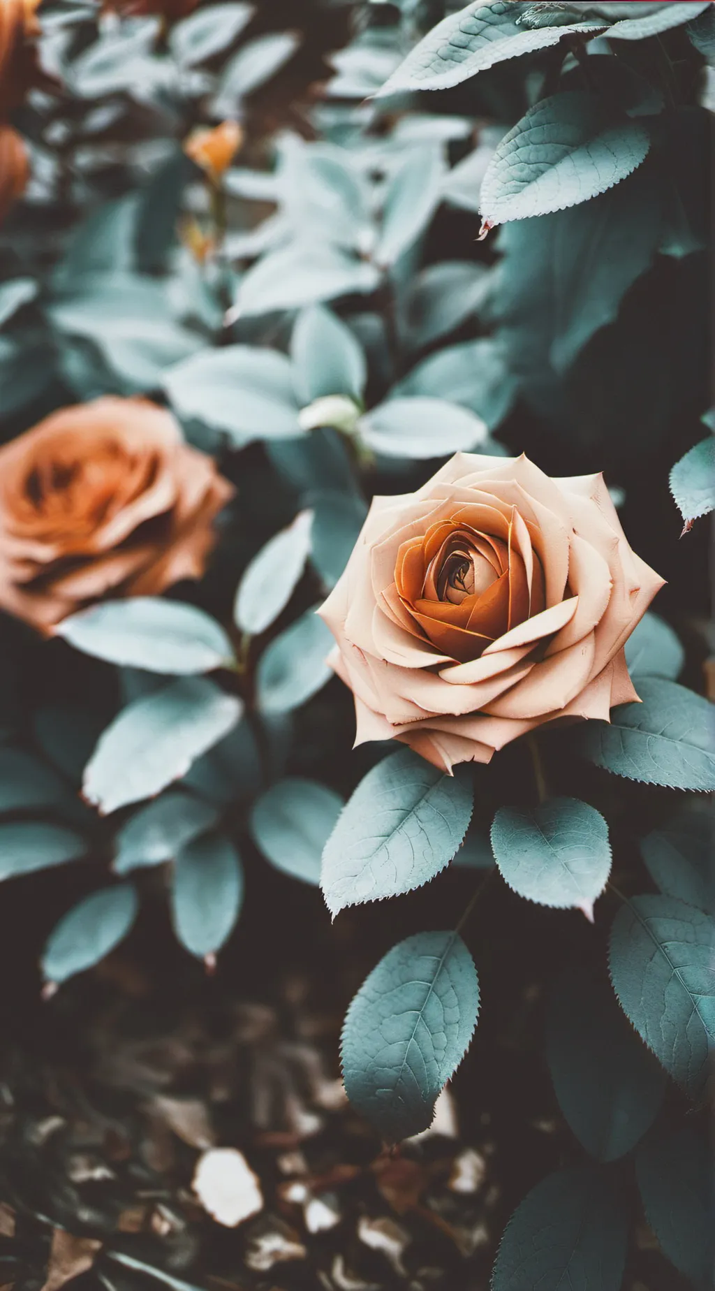 ai character: MHA background