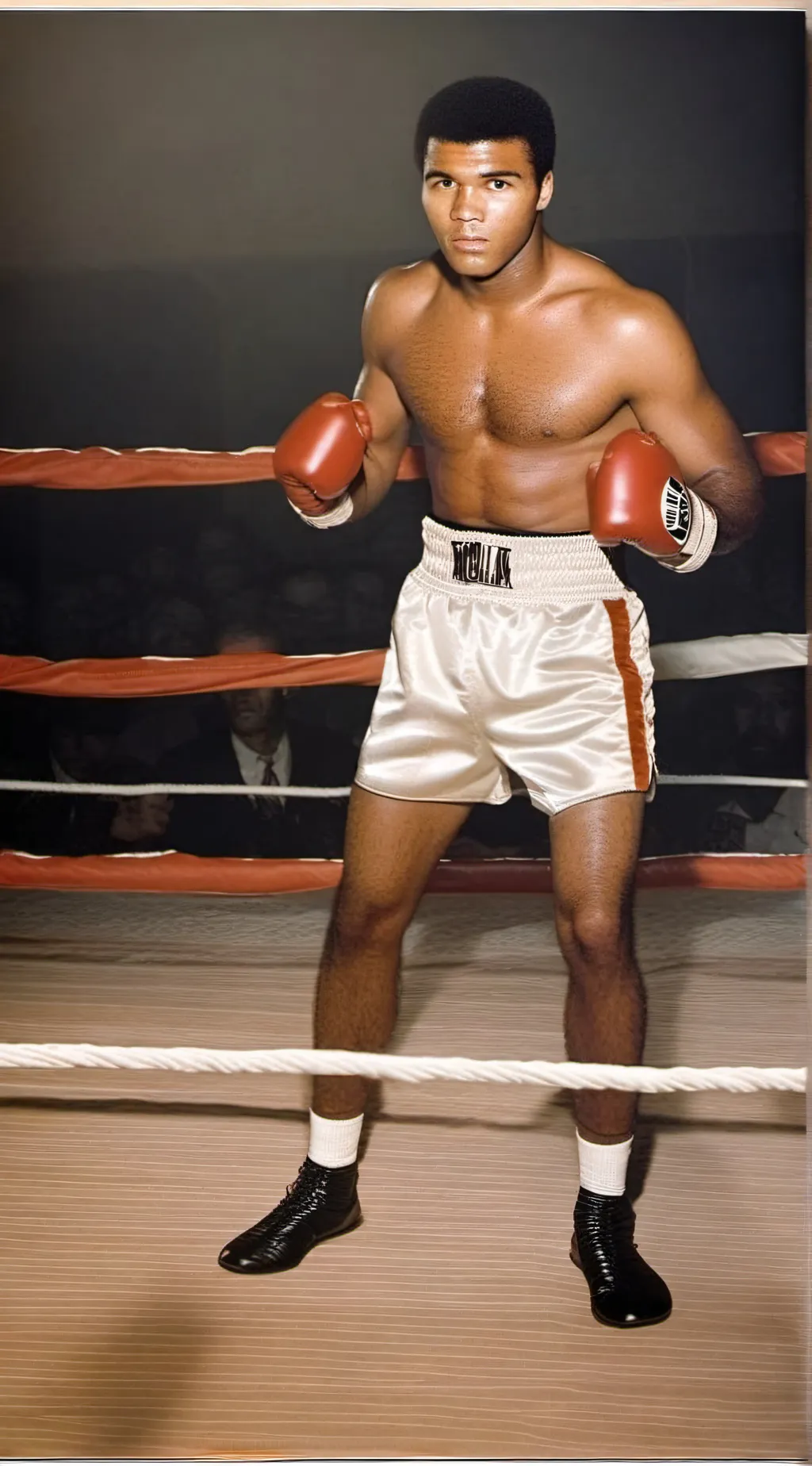 ai character: Boxer  background