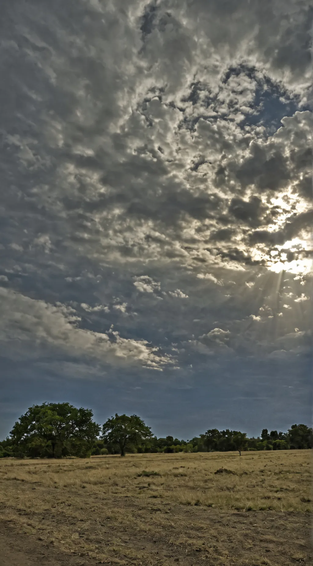 ai character: QUEEN NEVER CRY background