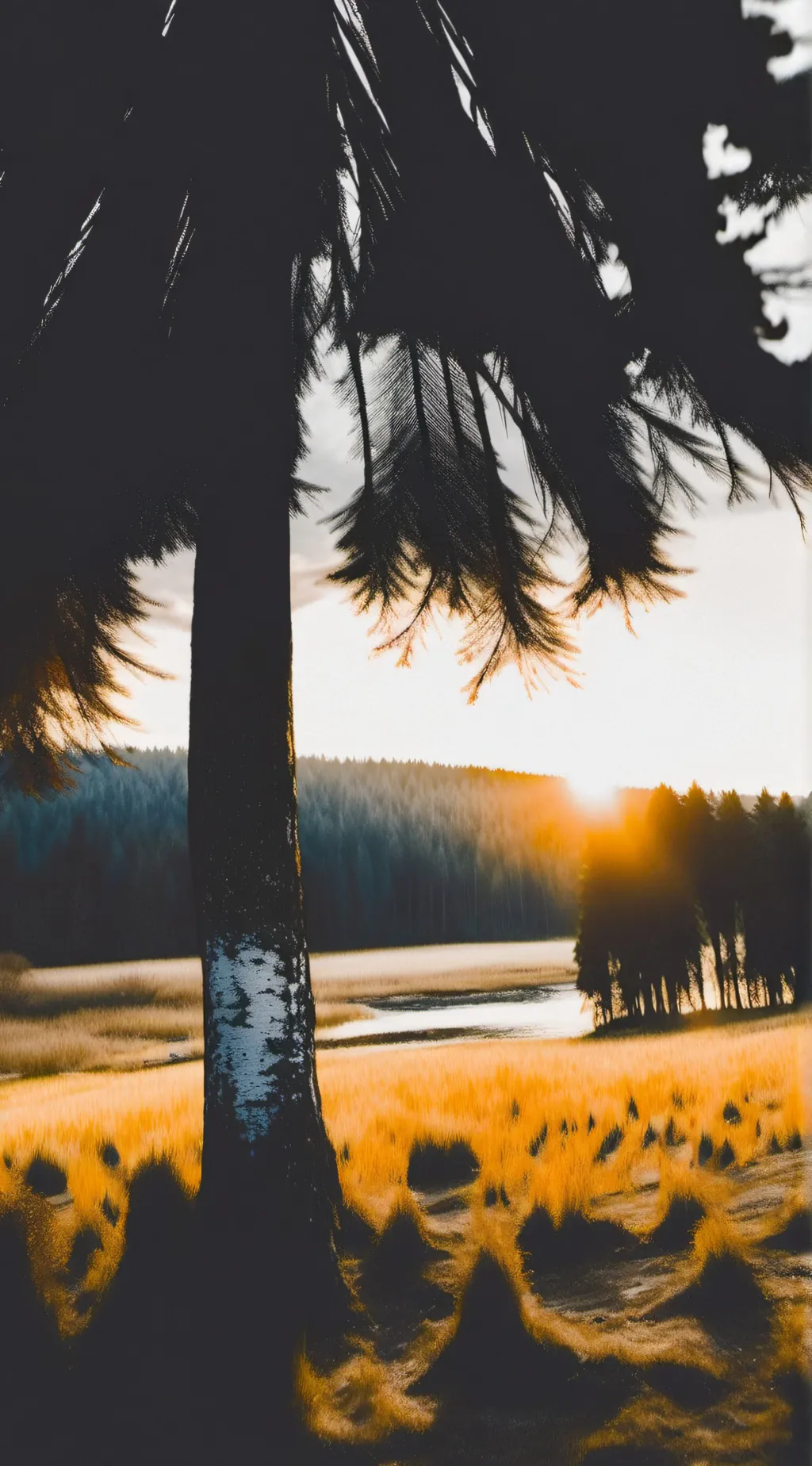 ai character: Obx  background