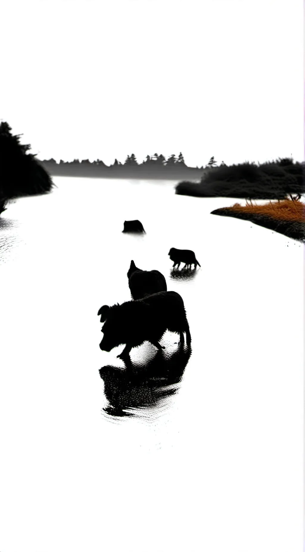 ai character: Japanese guy background