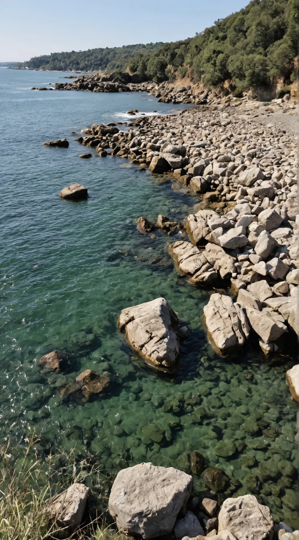 ai character: A Shoreline background