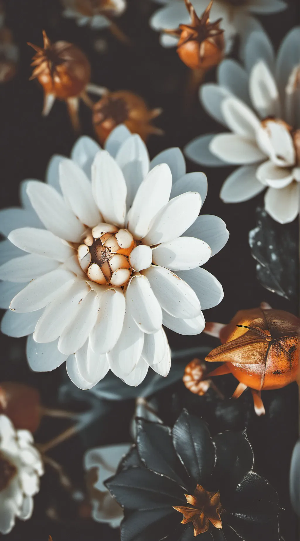 ai character: Share everything 🙂 background