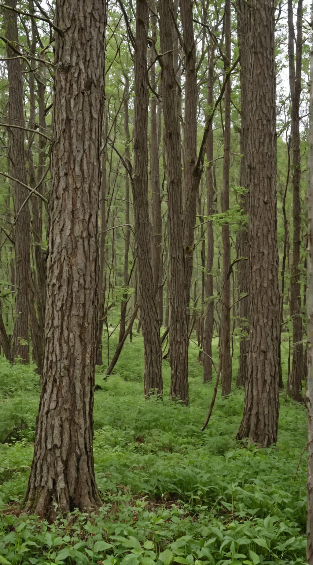 ai character: Colby Brock background