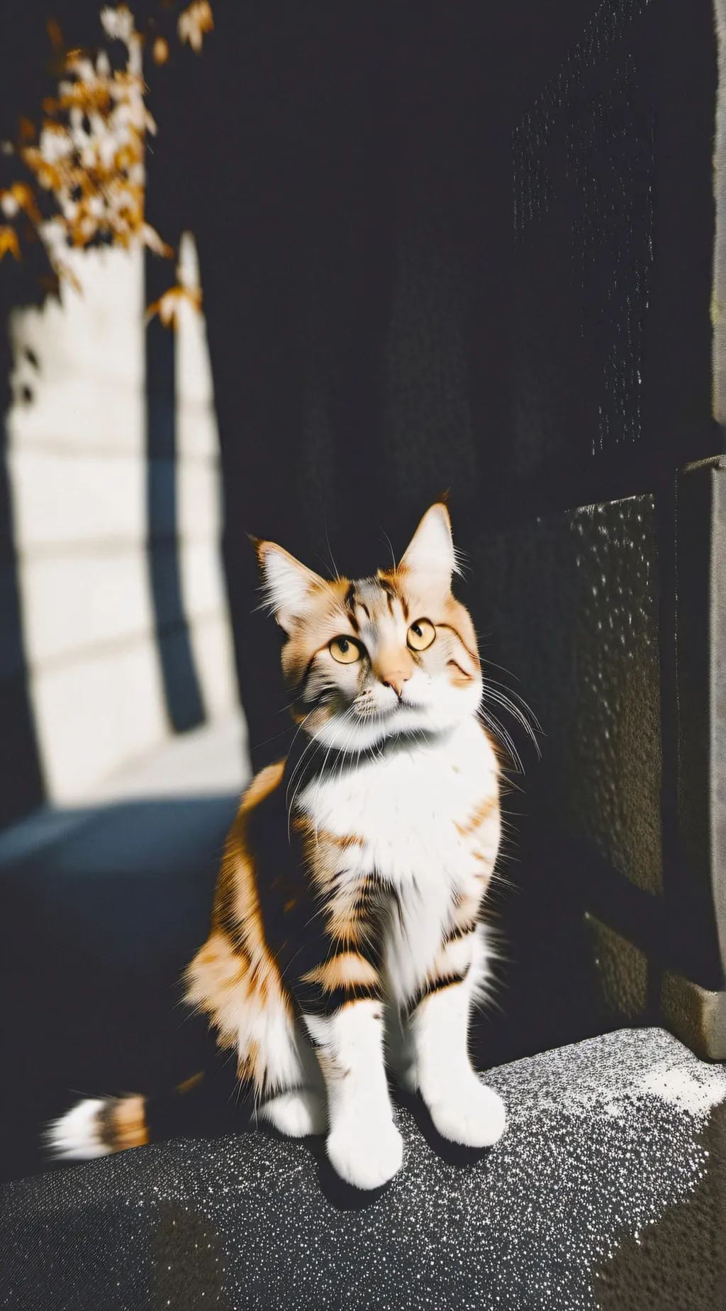 ai character: gatito🗣🔥 background