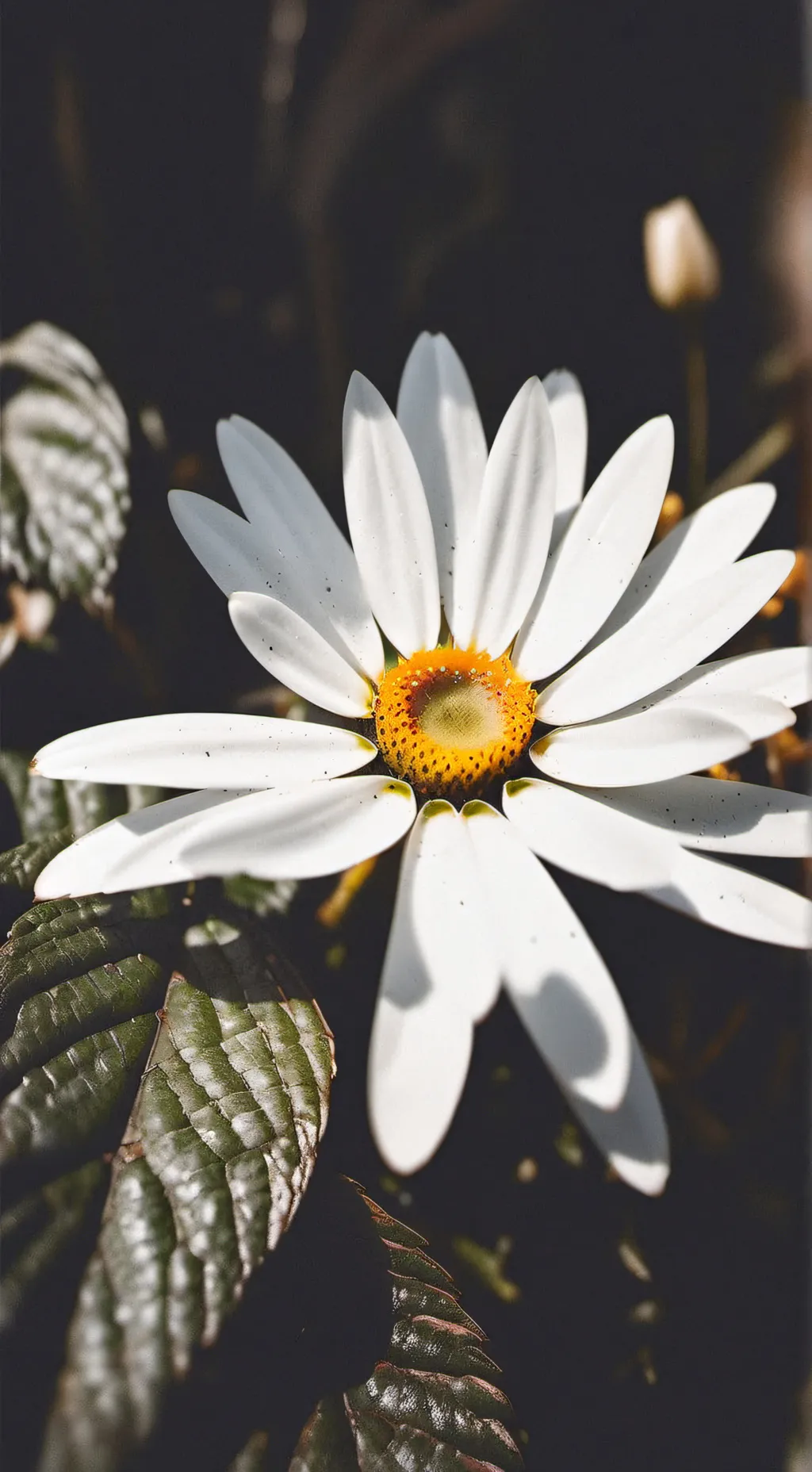 ai character: Dw + bubbles background