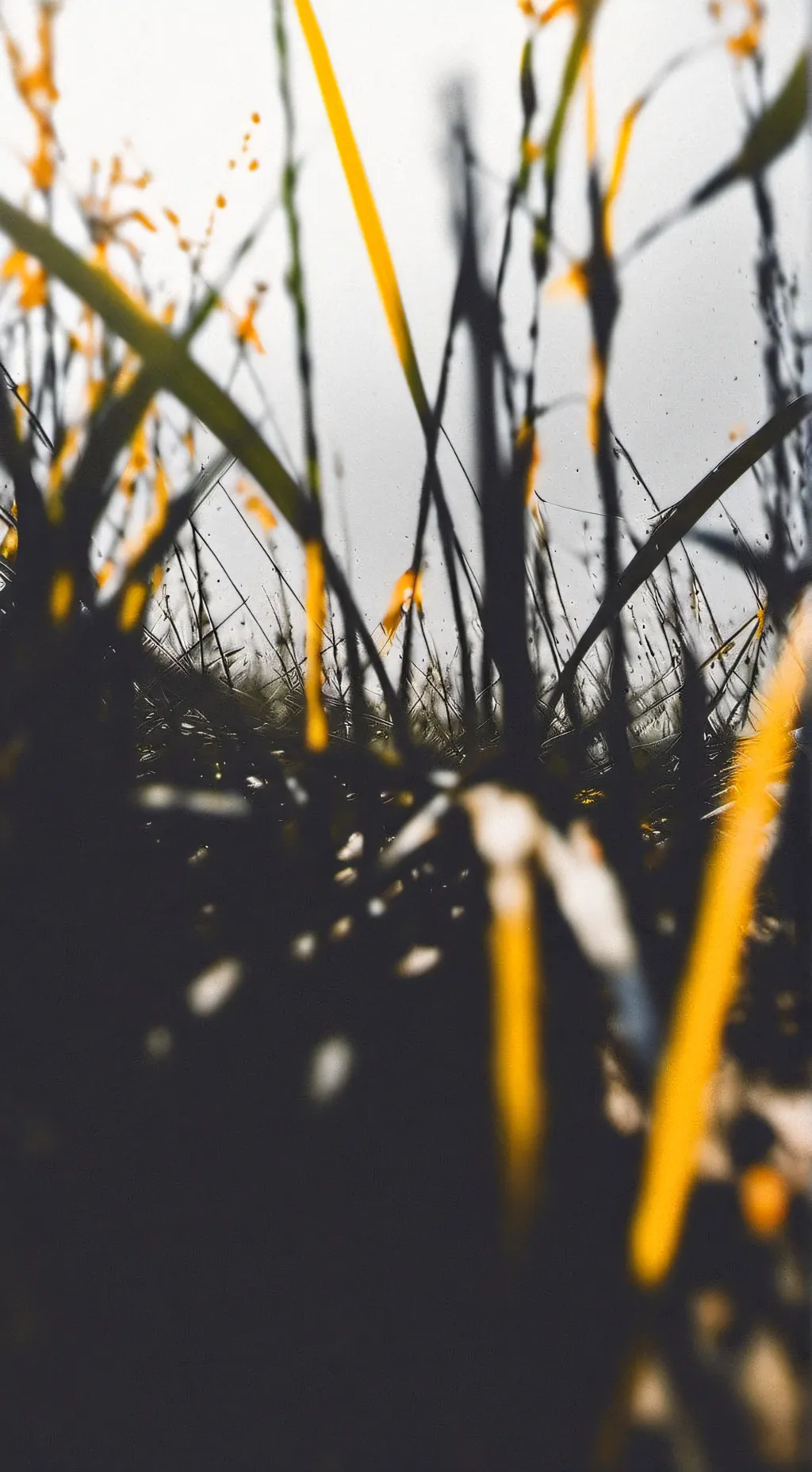 ai character: touch grass🌱 background