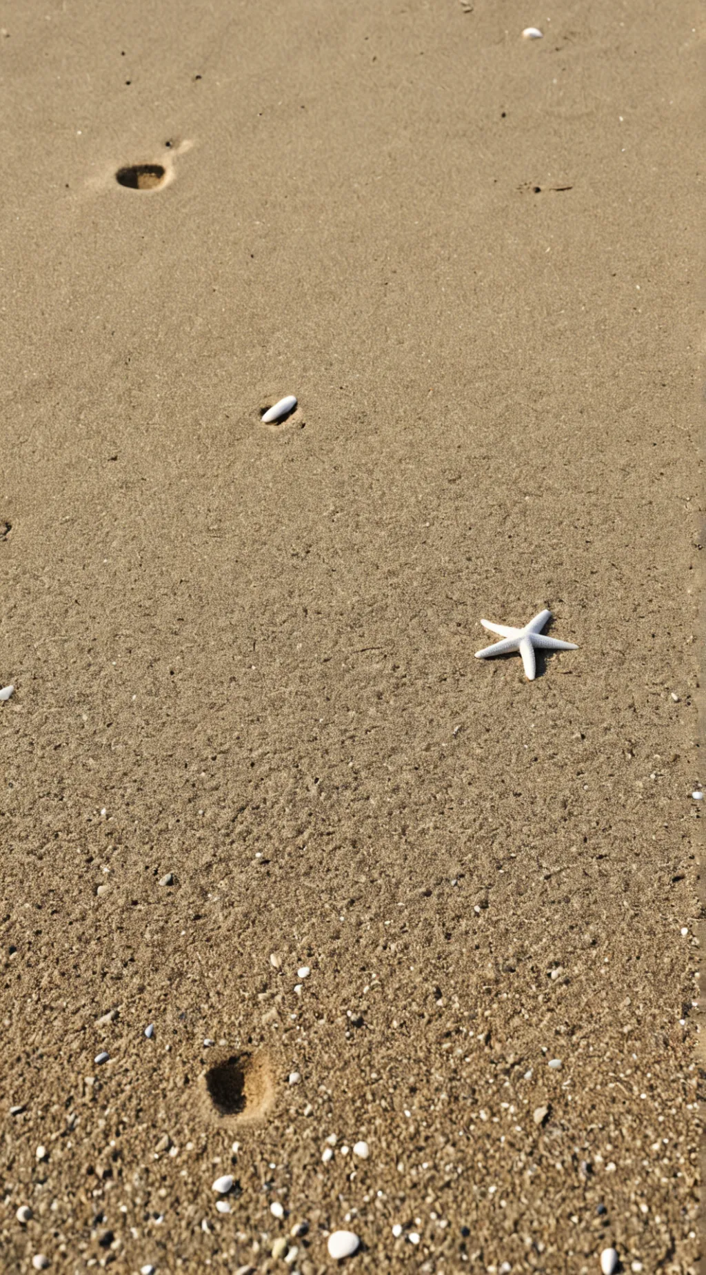 Talkie AI - Chat with OBX