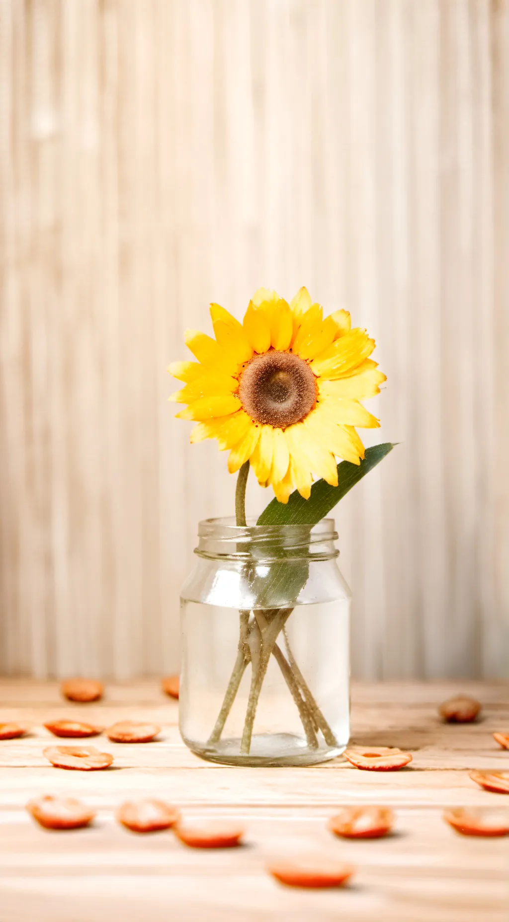 ai character: what person u are background