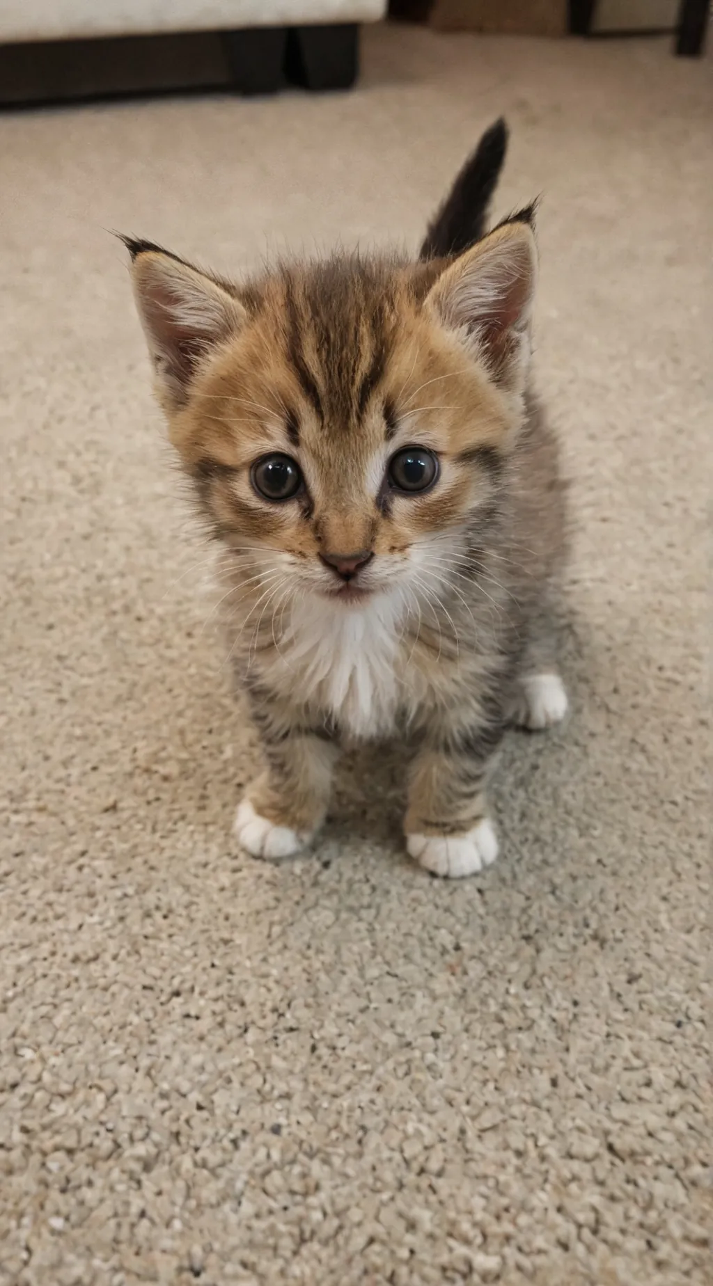 ai character: Betty background