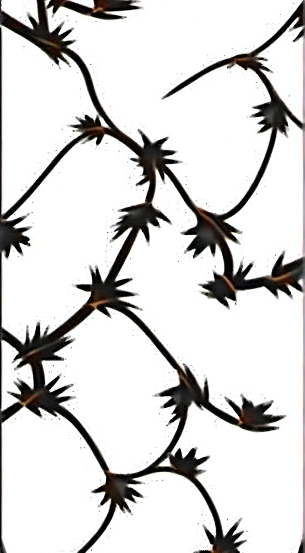 ai character:  md insane  background