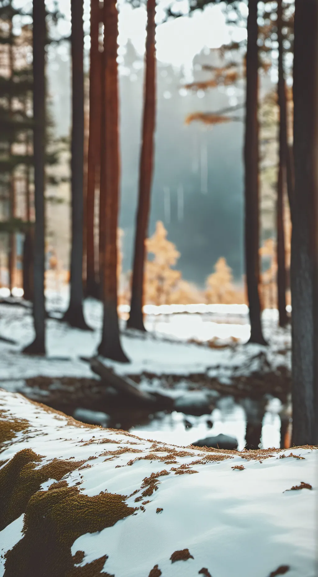 ai character: Kny pick me  background