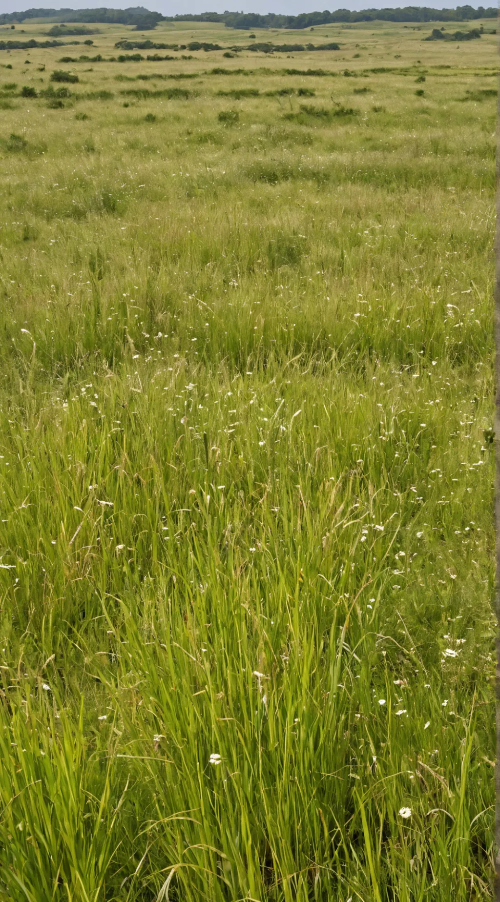 ai character: Sprunki background