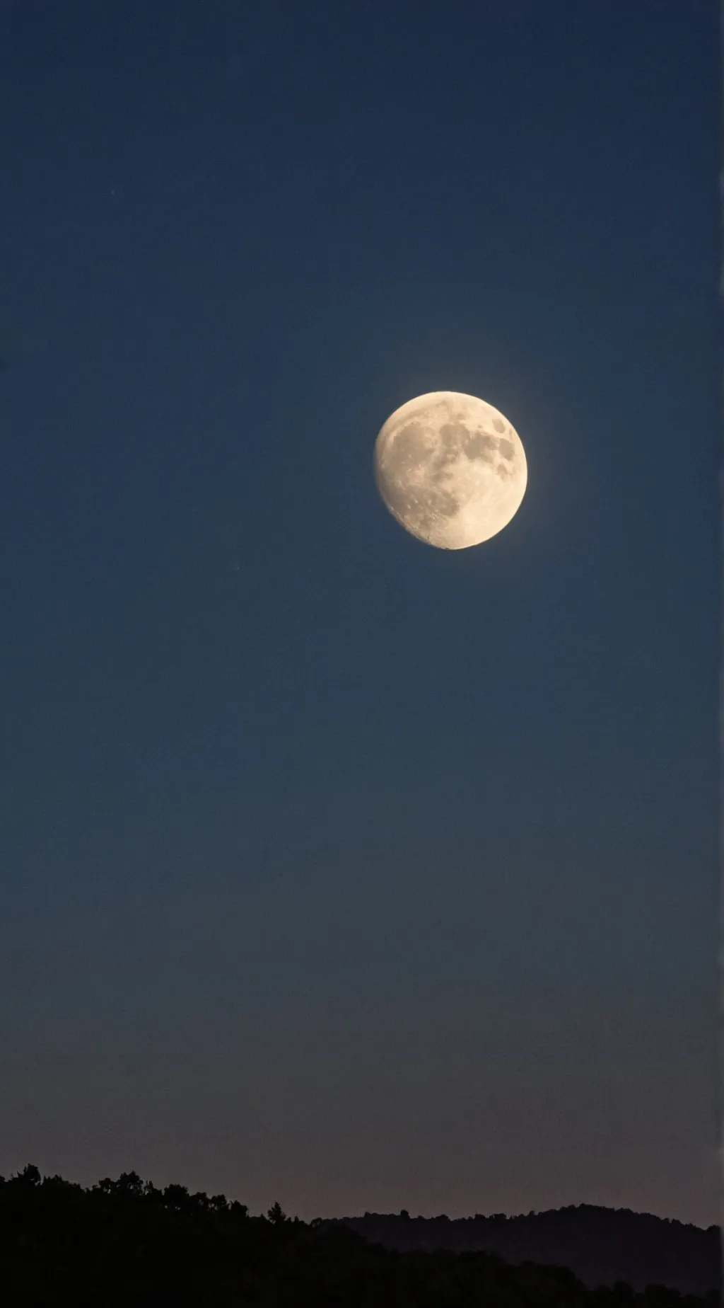 ai character: AllRequestsGoHere background