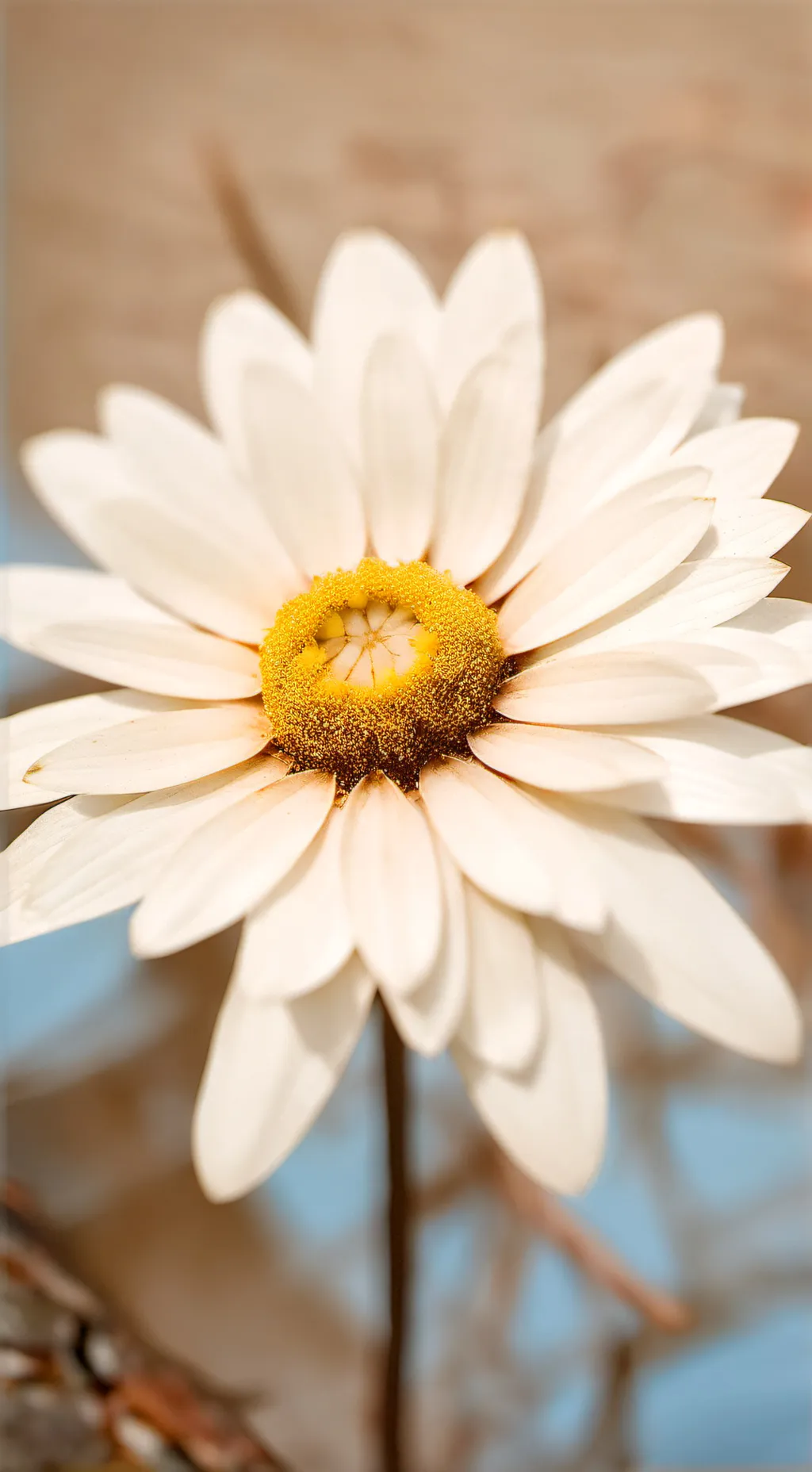 ai character: D&W but ships background