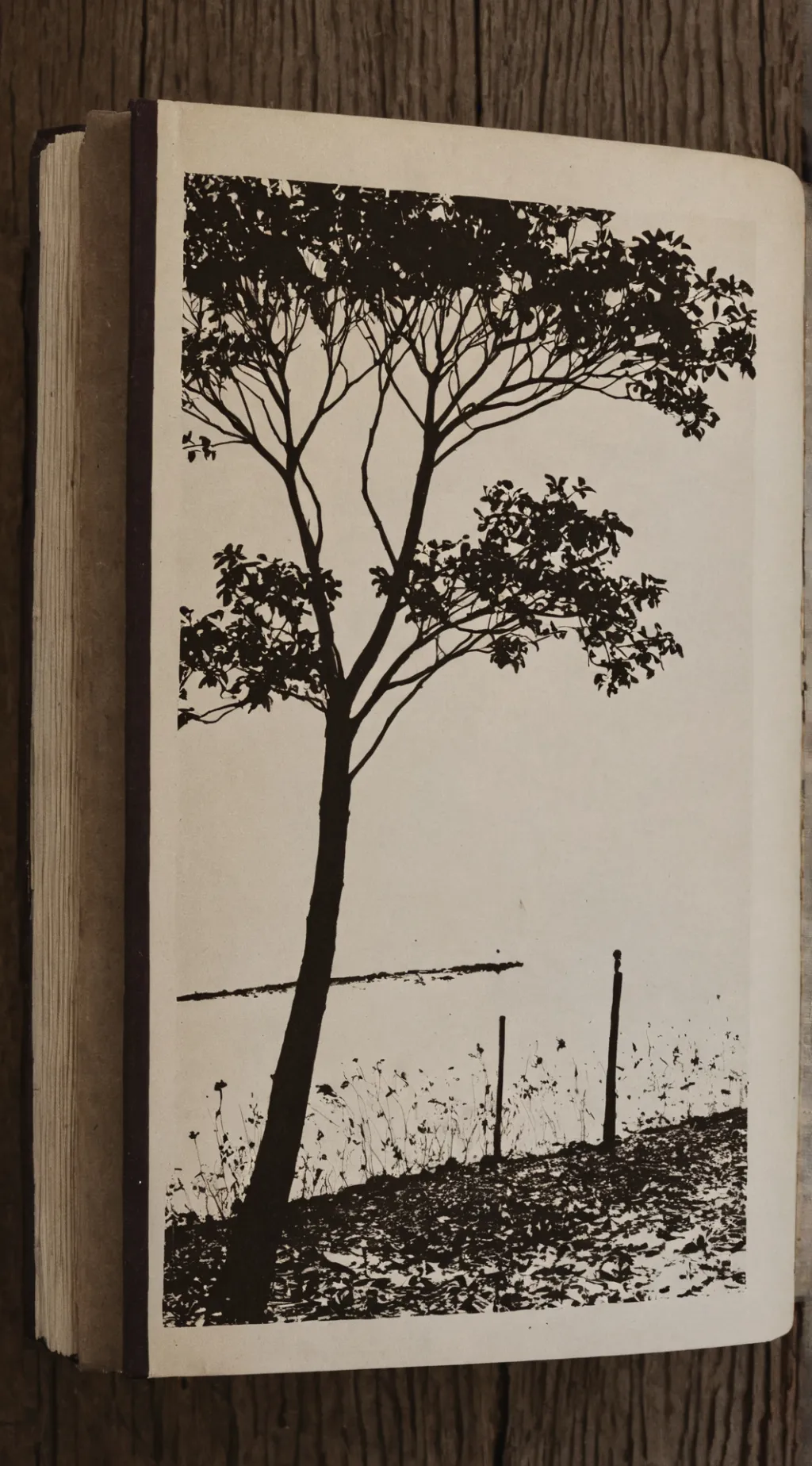 ai character: sentient book. background