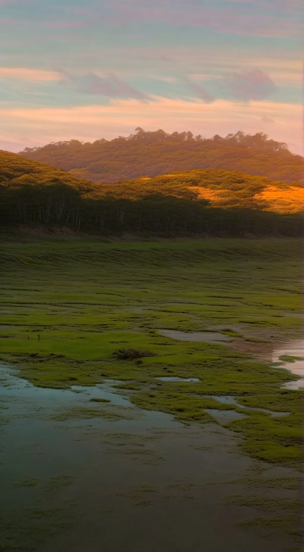 ai character: do it in real life background