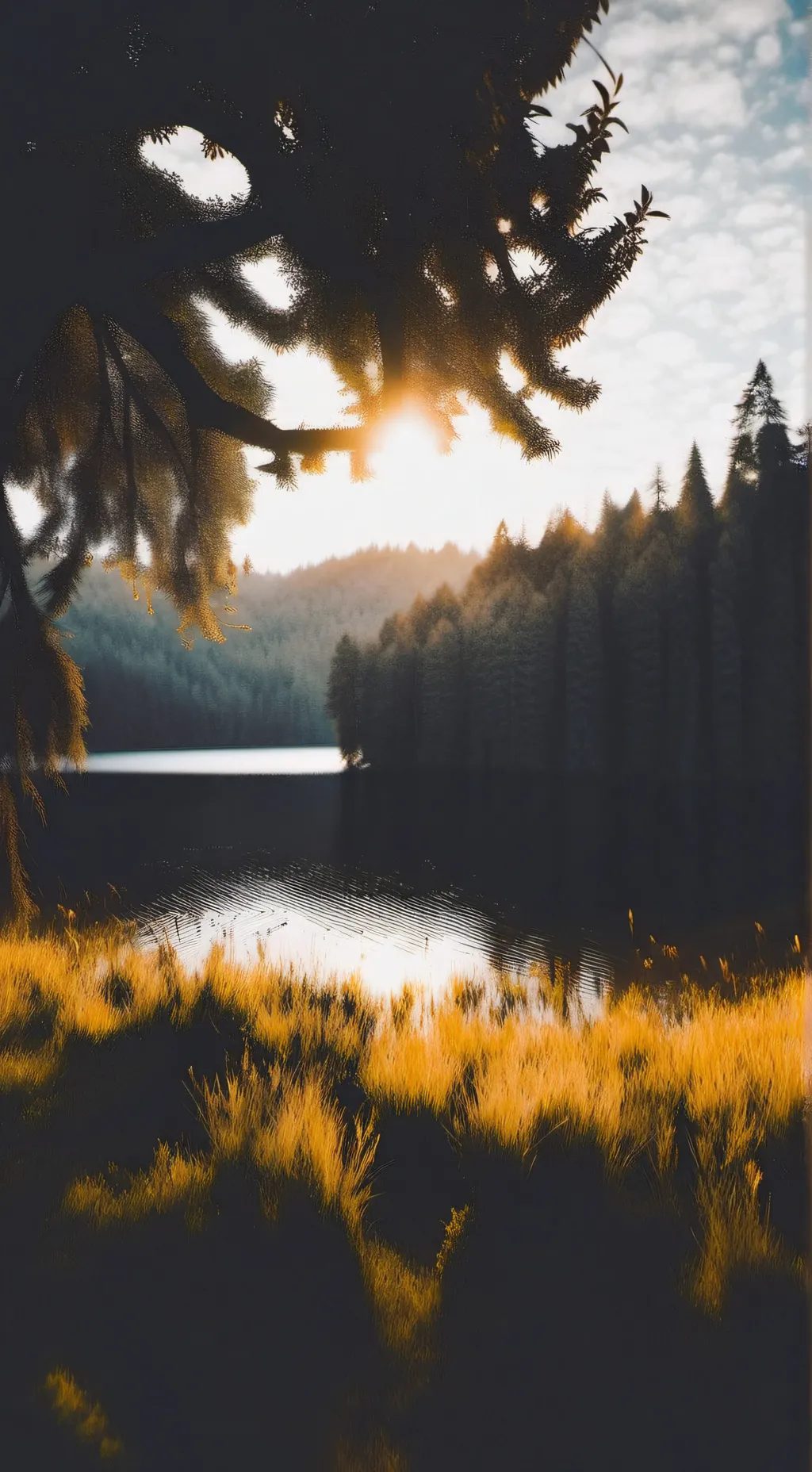 ai character: Tua background