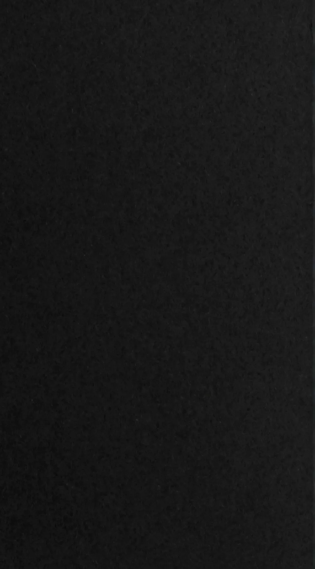 ai character: the copy heelers1 background