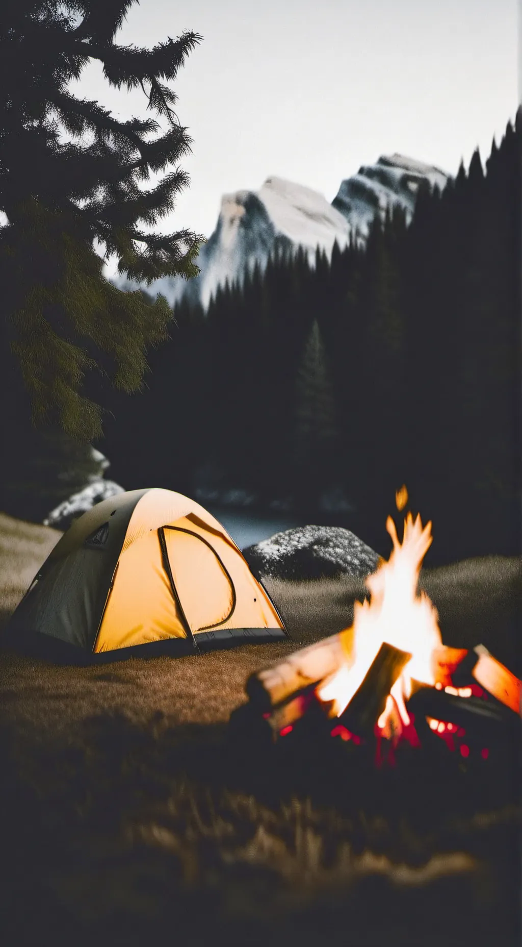 ai character: Dw Camp background