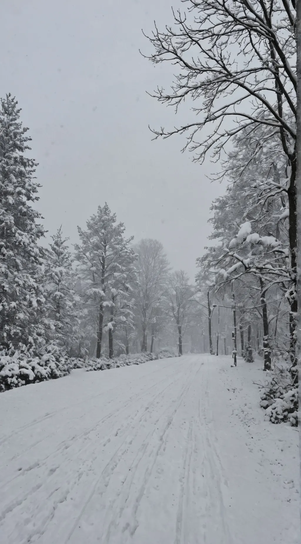 ai character: op Christmas  background