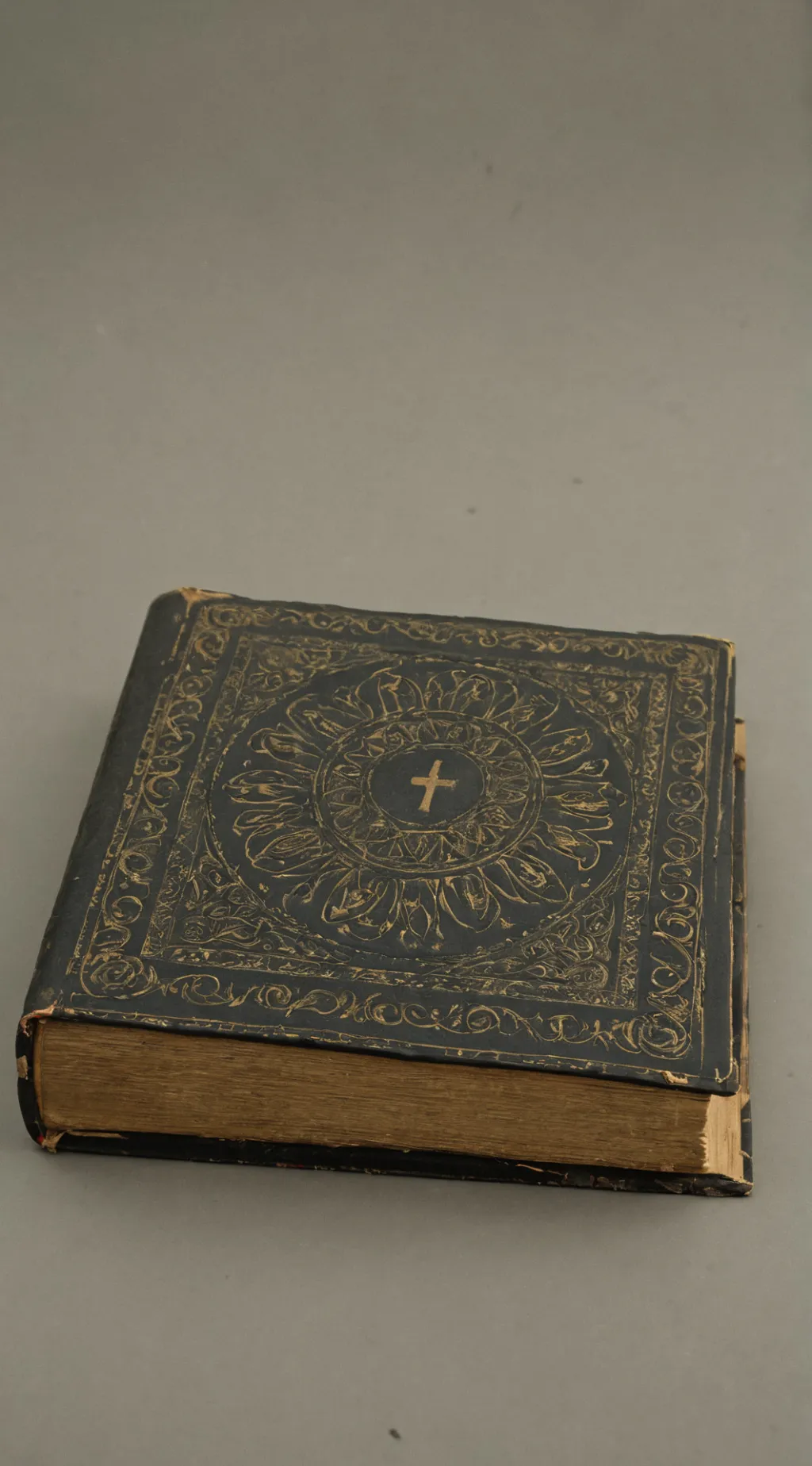 ai character: Fen background