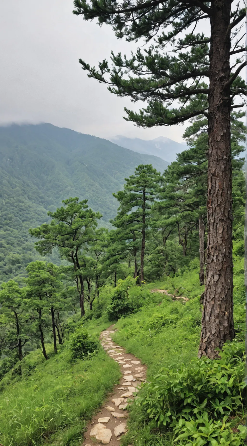 ai character: Elara background