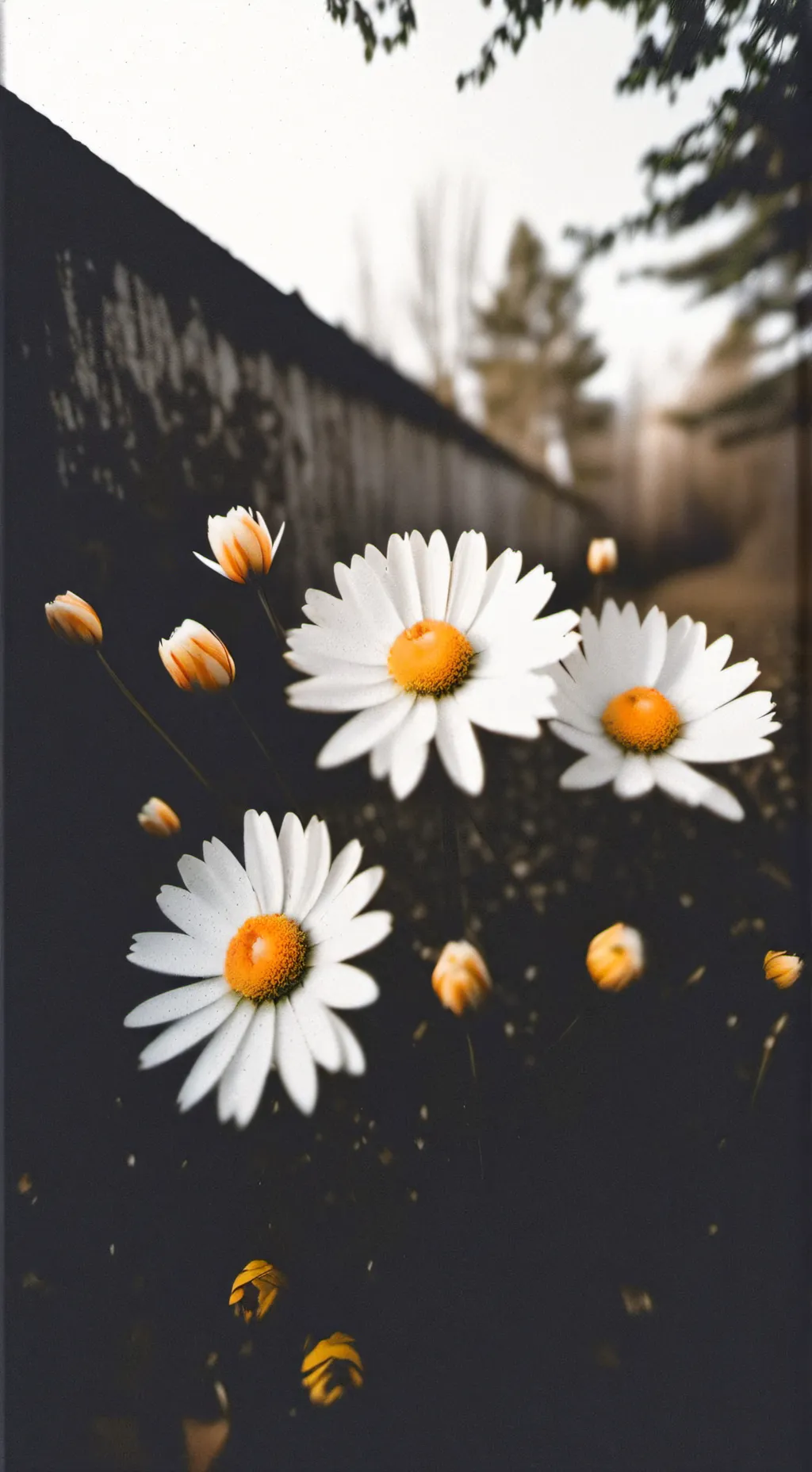 Talkie AI - Chat with BlackPink