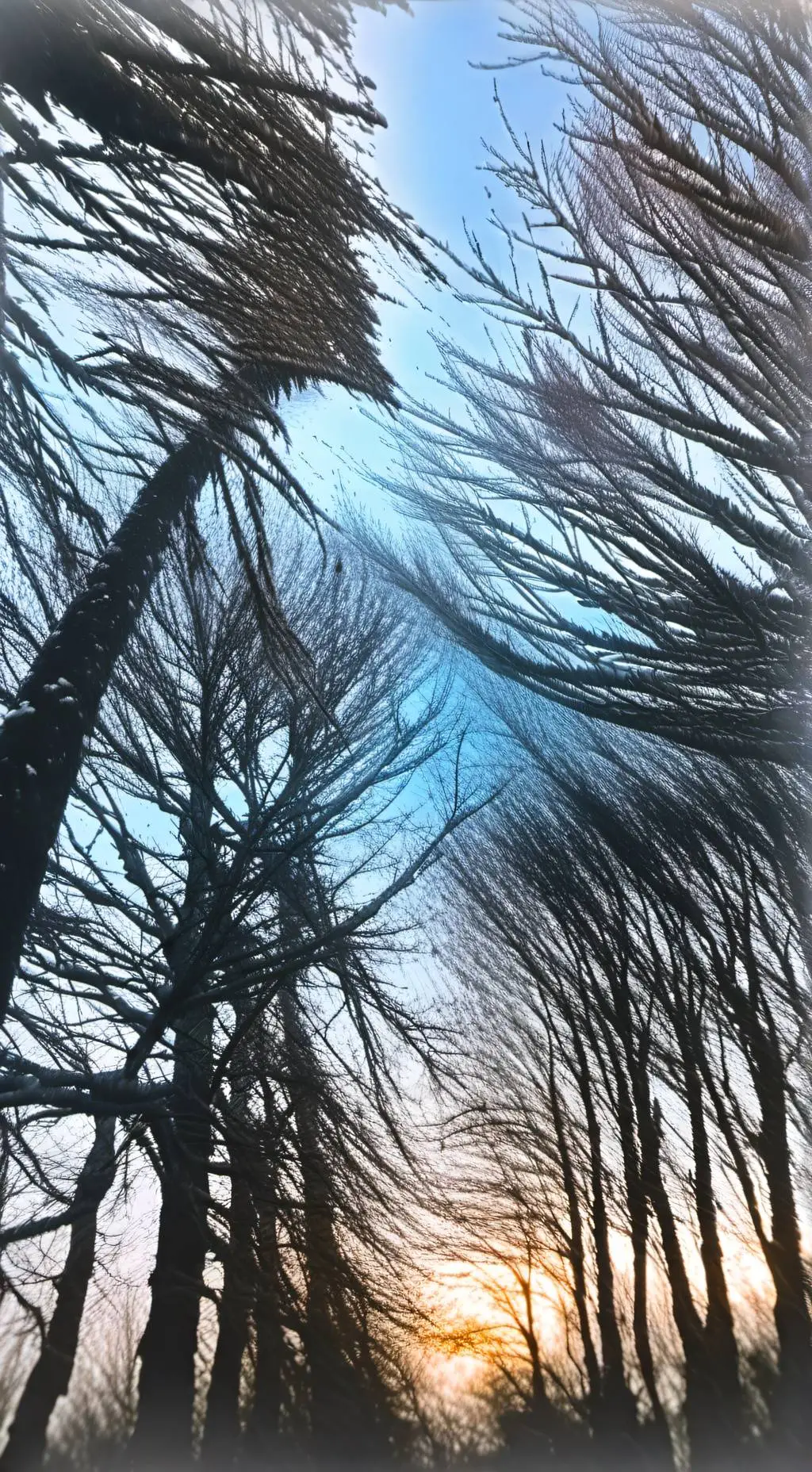 ai character: DW x FPE background