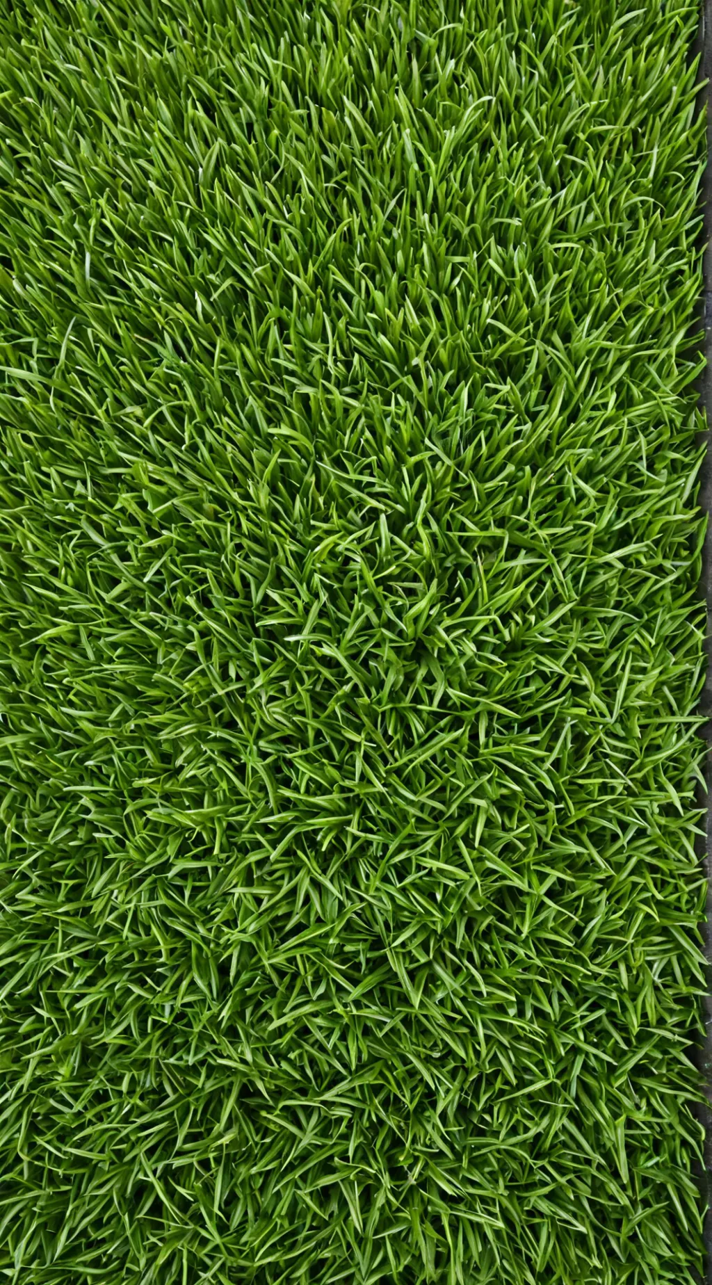ai character: Grass background