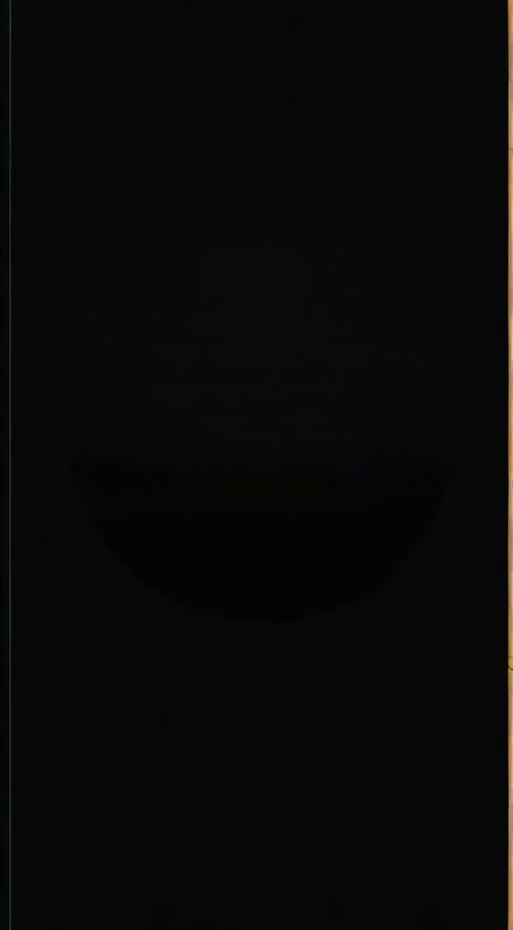 ai character: Rain world trip background