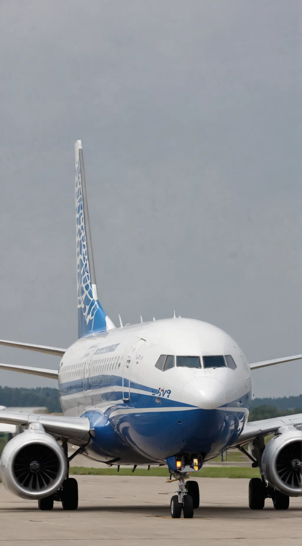 ai character: Boeing 737 background