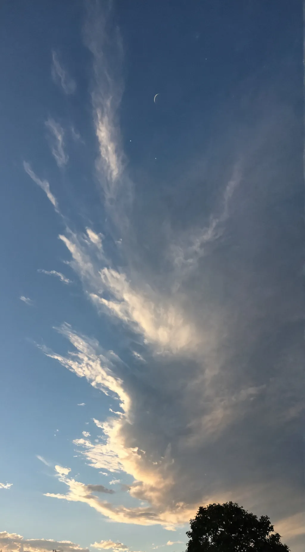 ai character: Mha/new student background