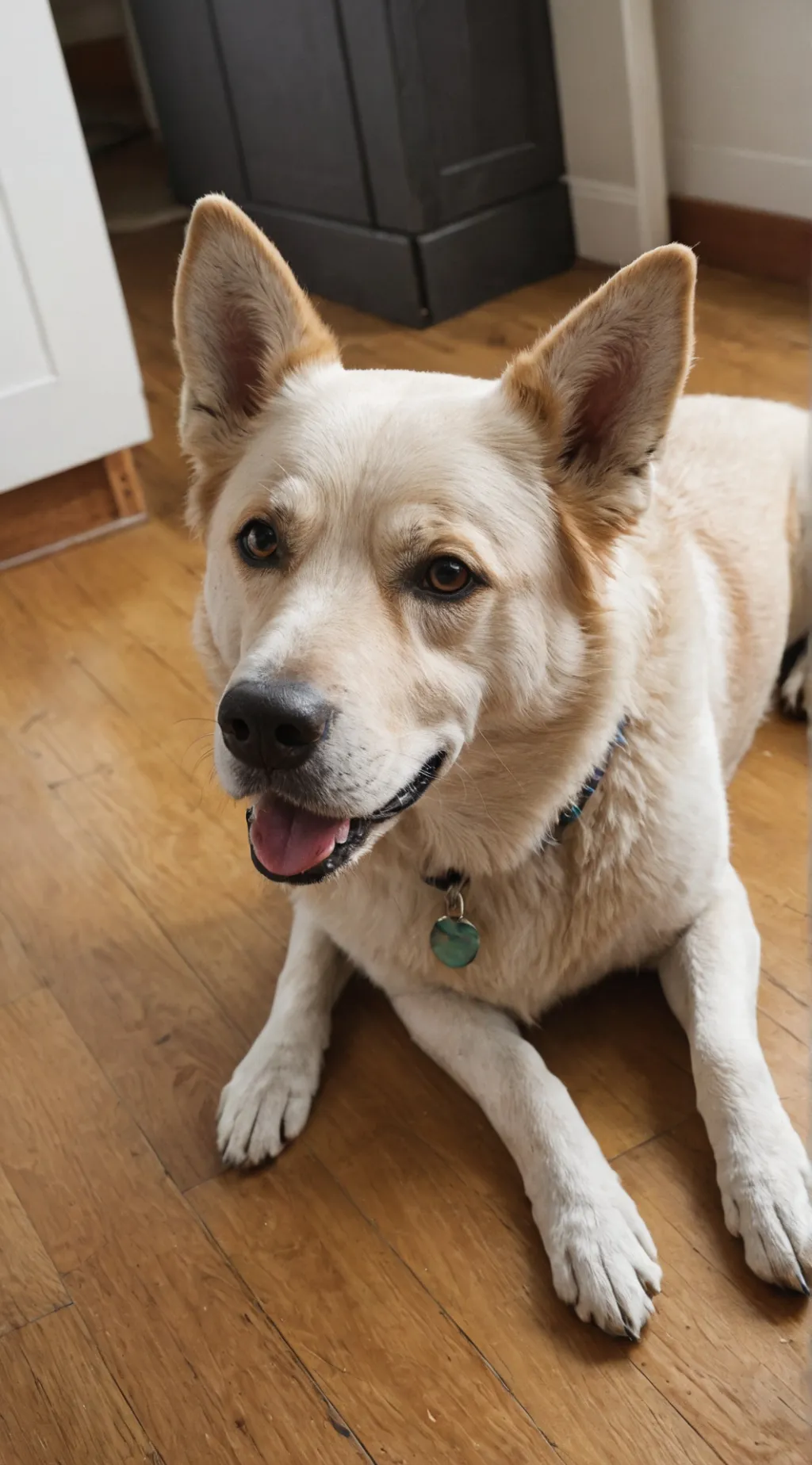 ai character: nezukos BIRTHDAY background