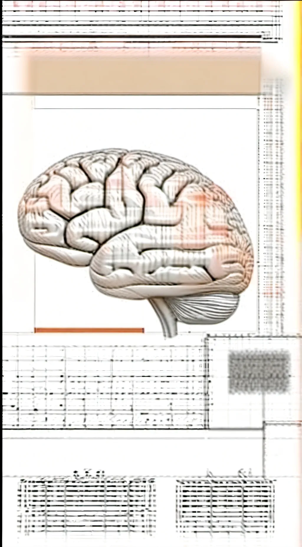 Talkie AI - Chat with Your Body