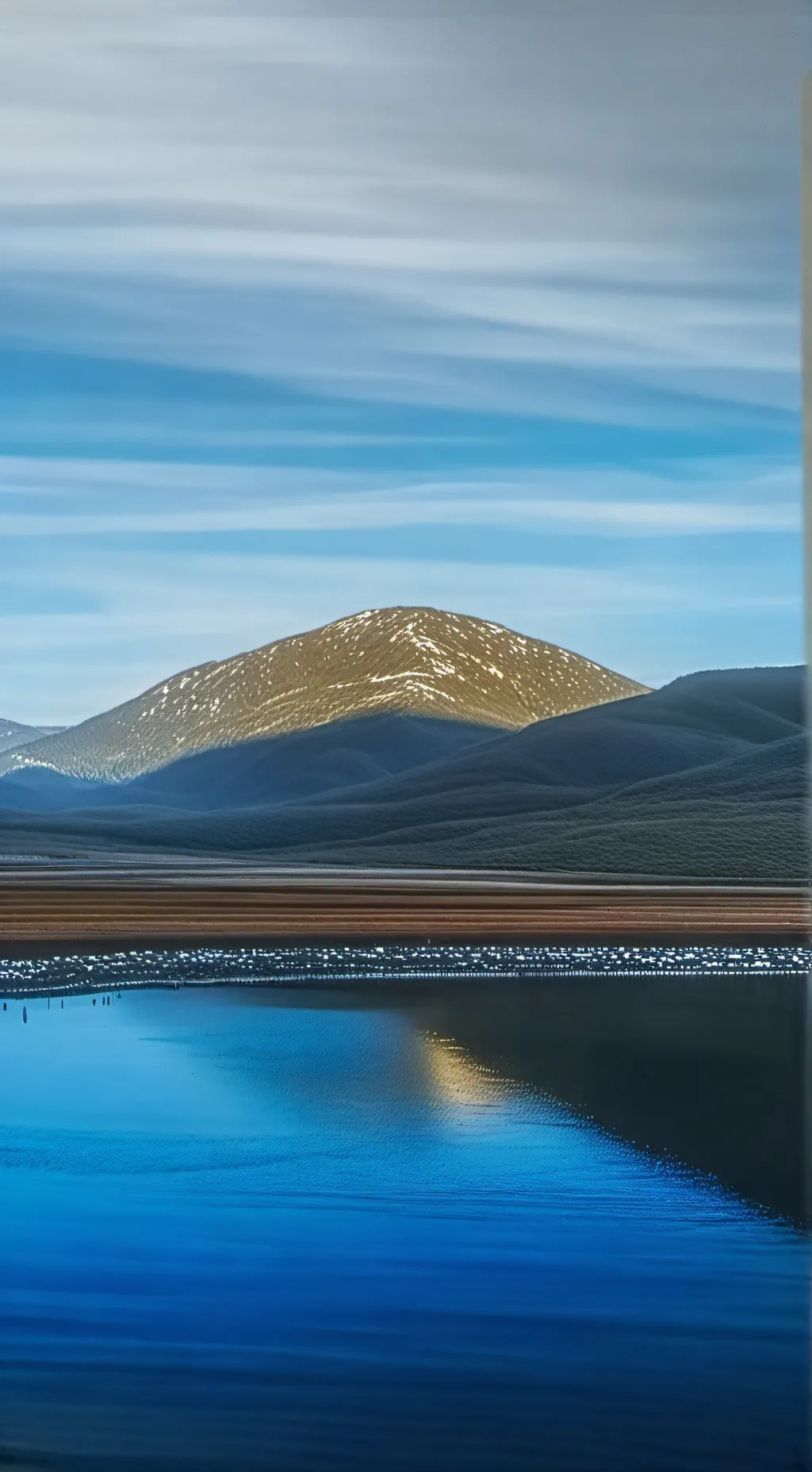 ai character: carrington background