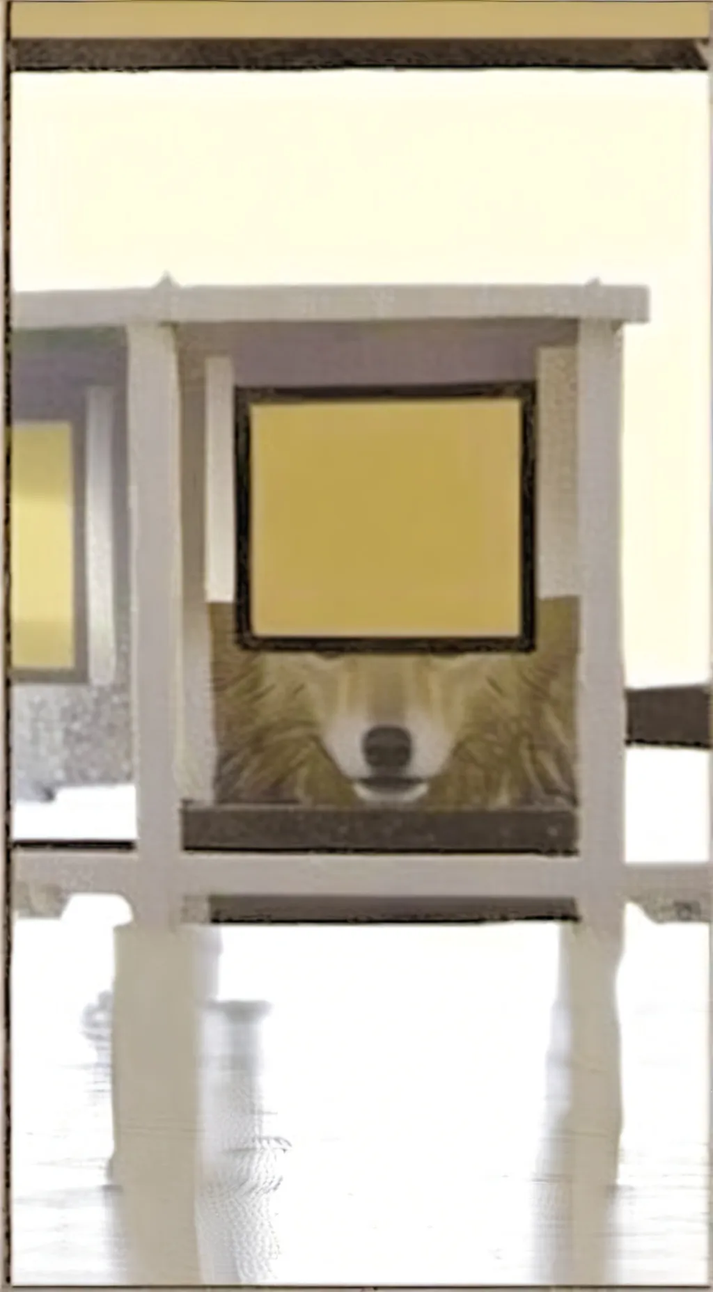 ai character: papu background