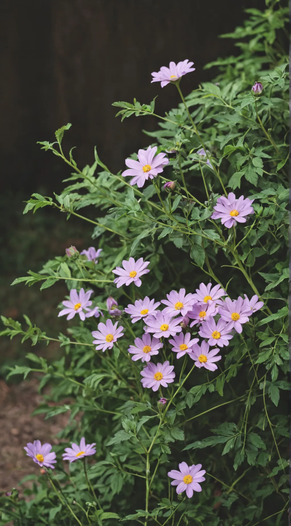 ai character: Chris Evans background