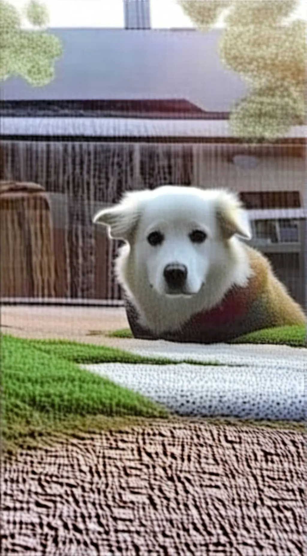 Talkie AI - Chat with Hu?