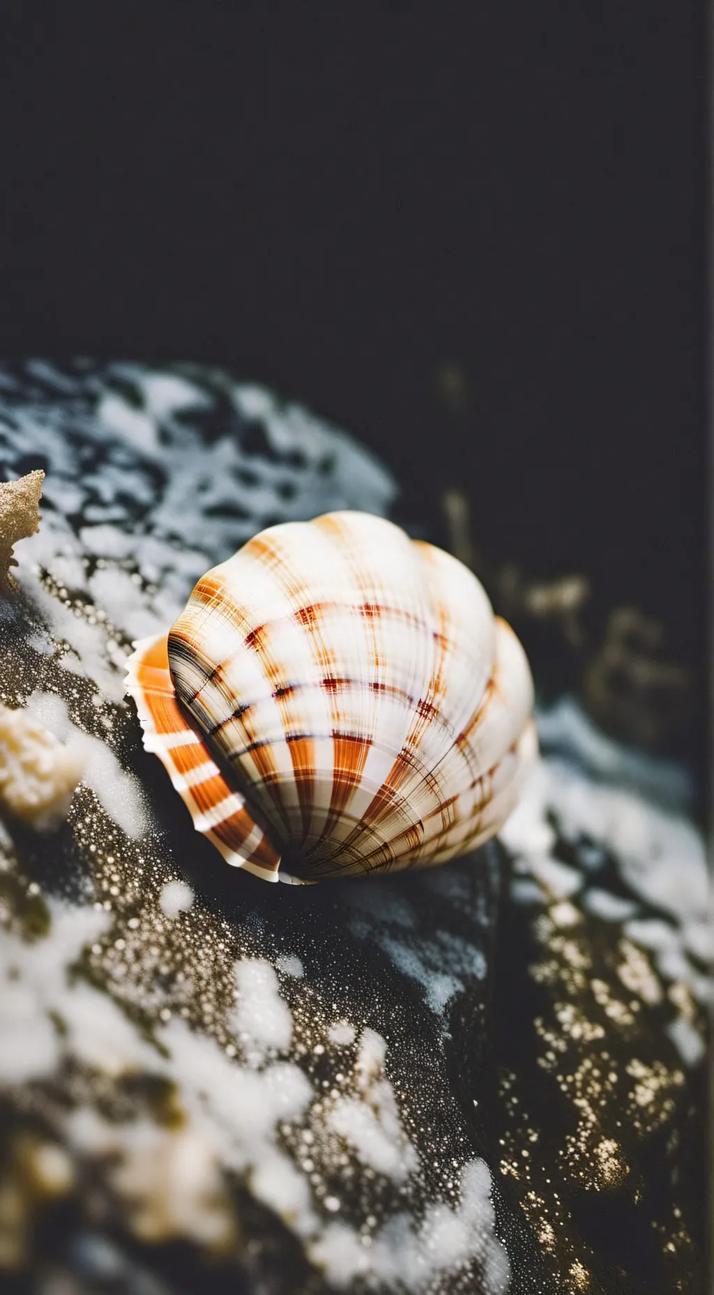 ai character: Shelly background