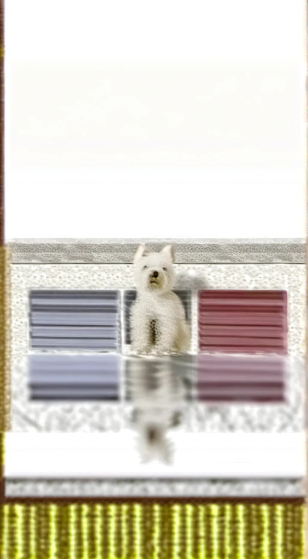 ai character: Skz(traitor 🤯) background