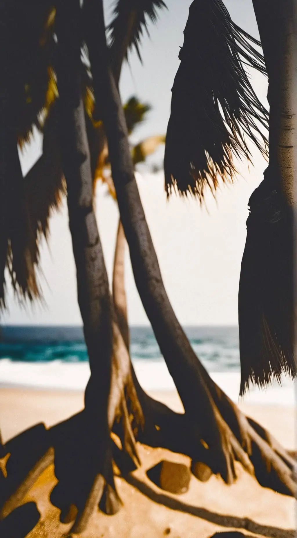 ai character: obx background