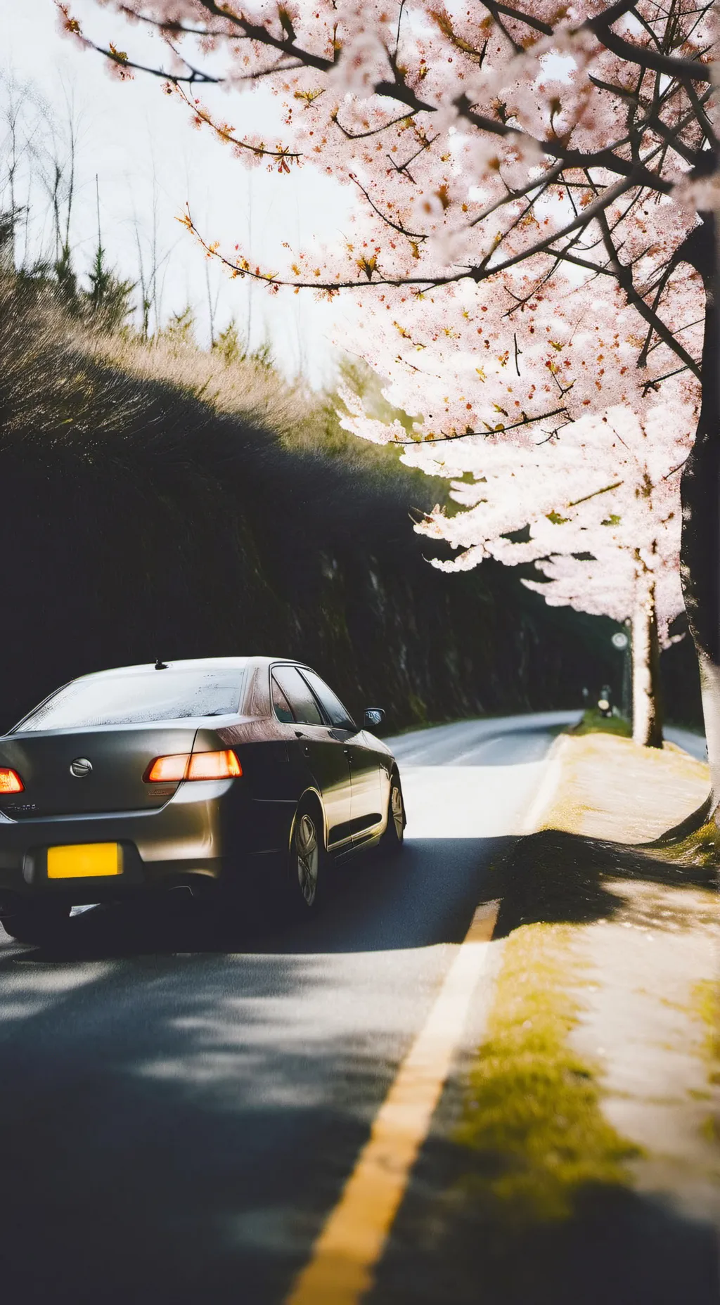 ai character: Hogwarts road trip background