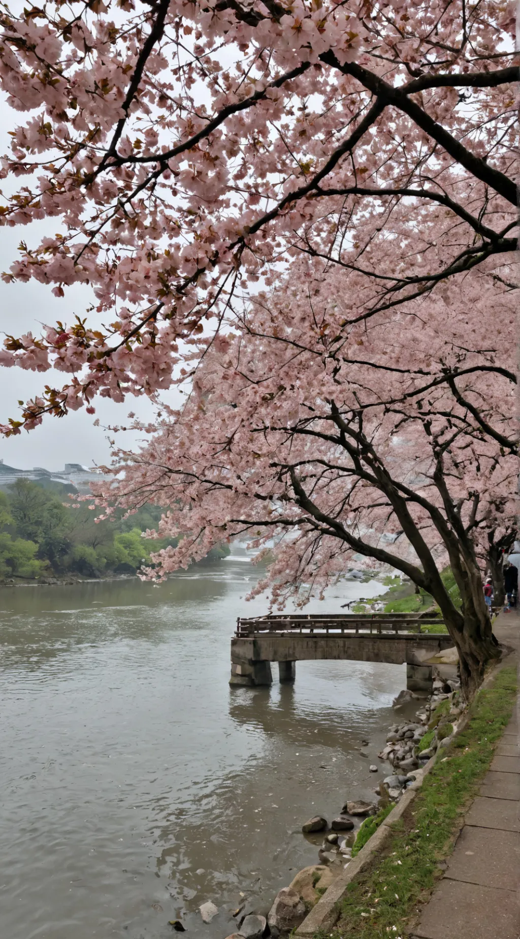 ai character: ♧ !Squid game! ♧ background