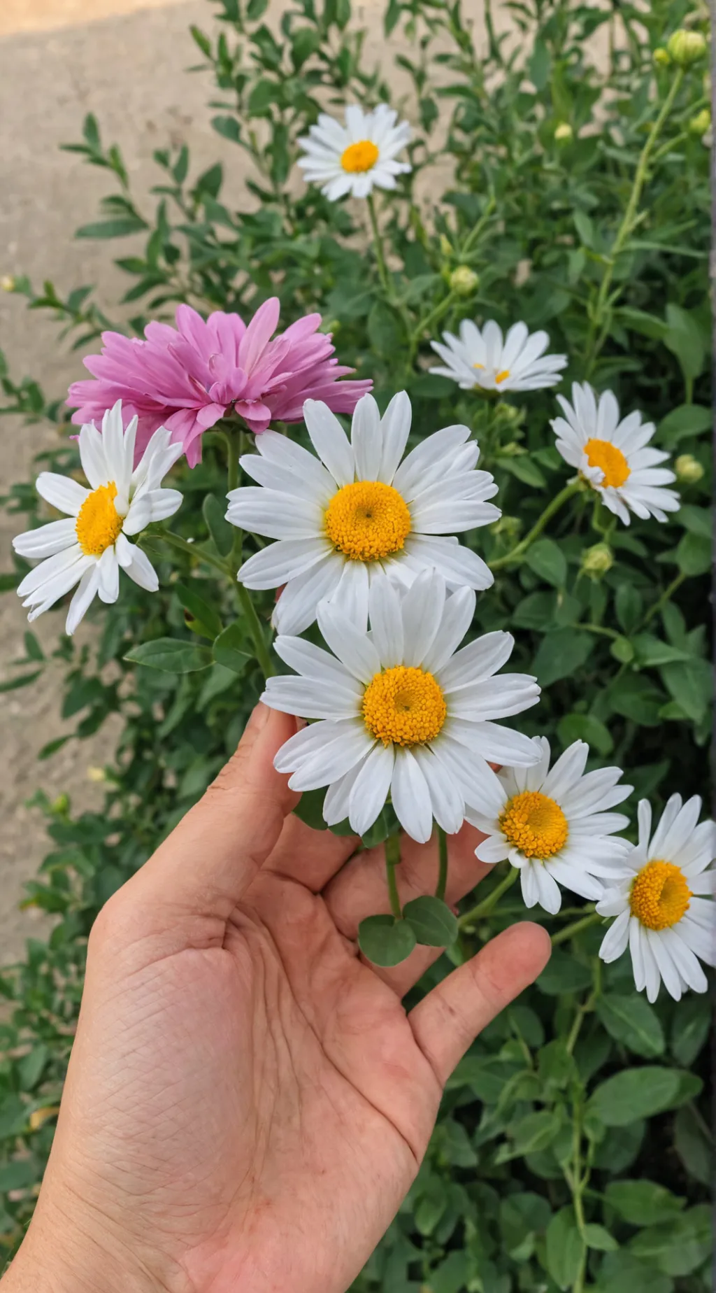 ai character: GHOULS GAME SHOW! background