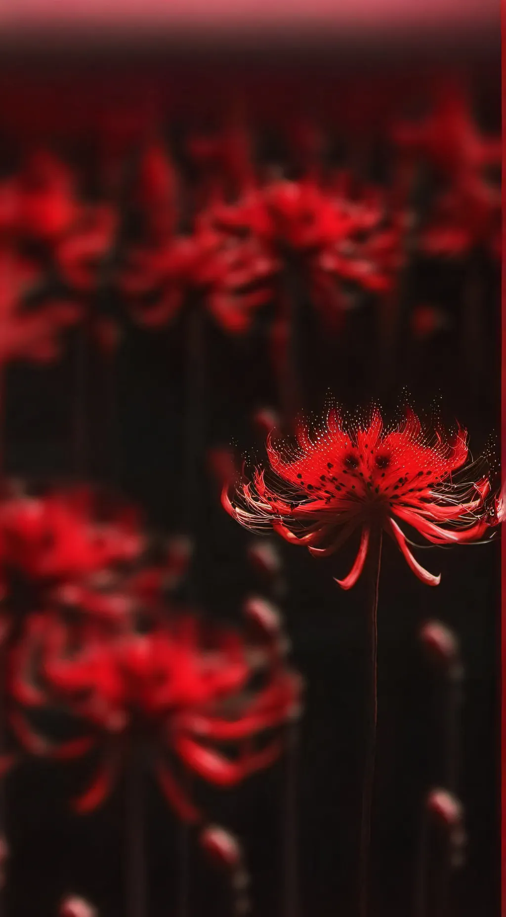 Talkie AI - Chat with 💔°New UppM°💔